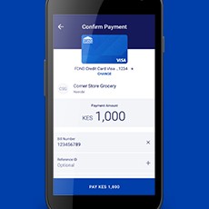 mvisa-image-1