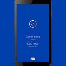 mvisa-image-2 mvisa-image-2